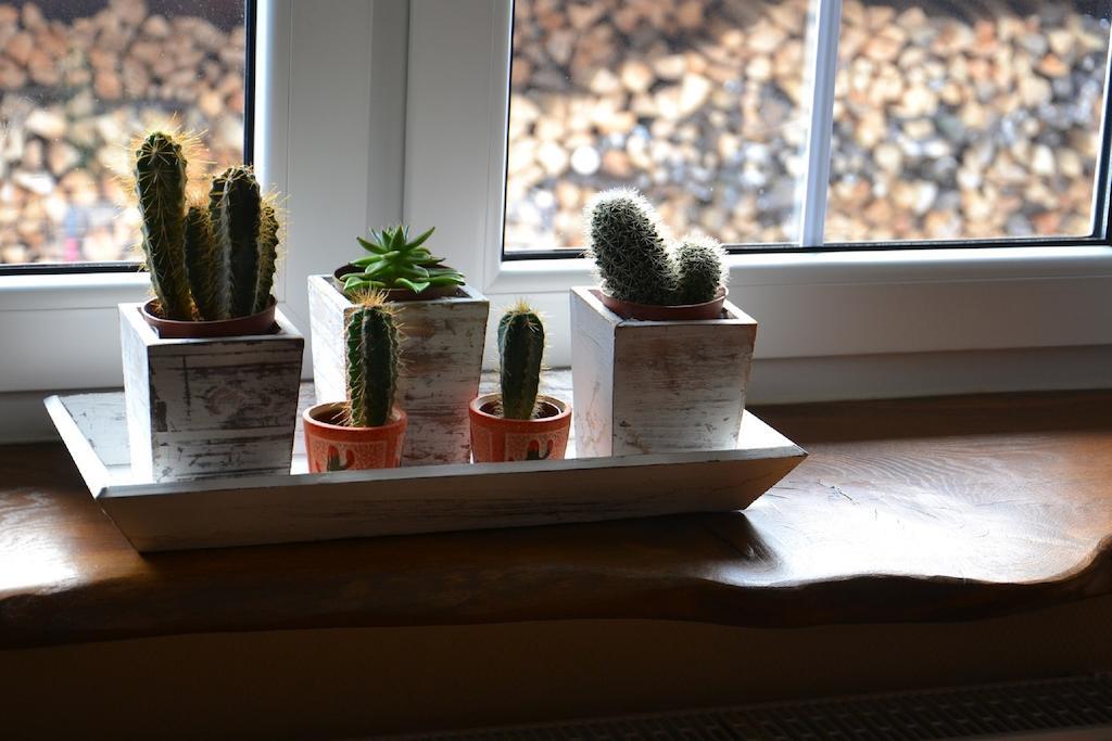 U Robsona Appartement Szklarska Poręba Kamer foto